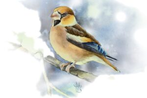 Přečtete si více ze článku PF 2026