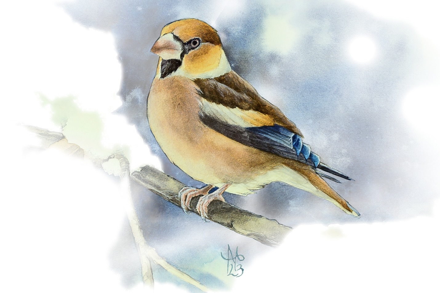 Právě si prohlížíte PF 2026