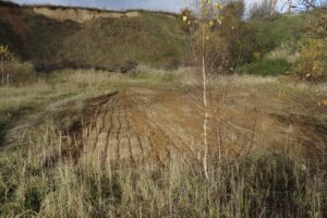 Přečtete si více ze článku Čekání na vlhu