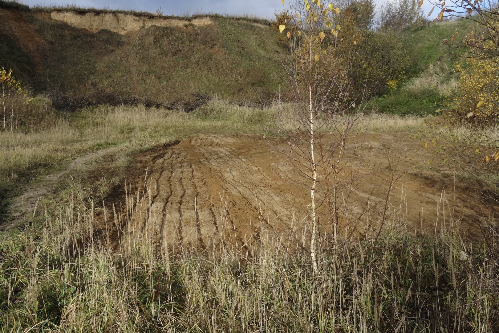 Právě si prohlížíte Čekání na vlhu