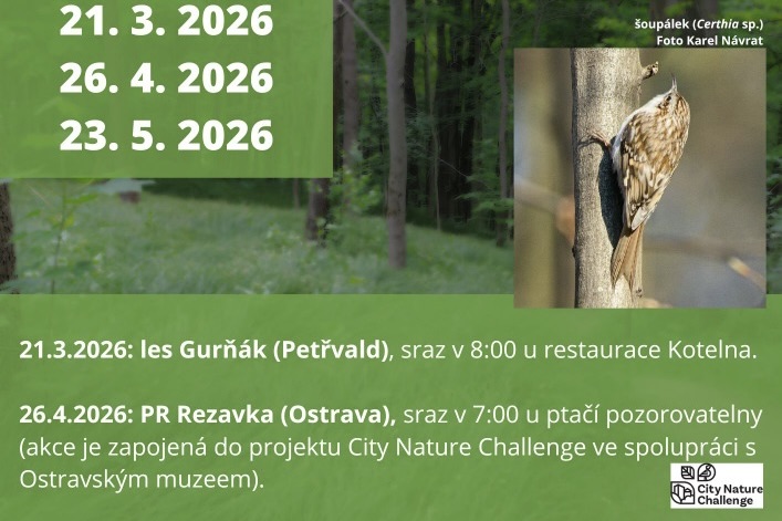 Pozvánka na víkendové akce s ptáky